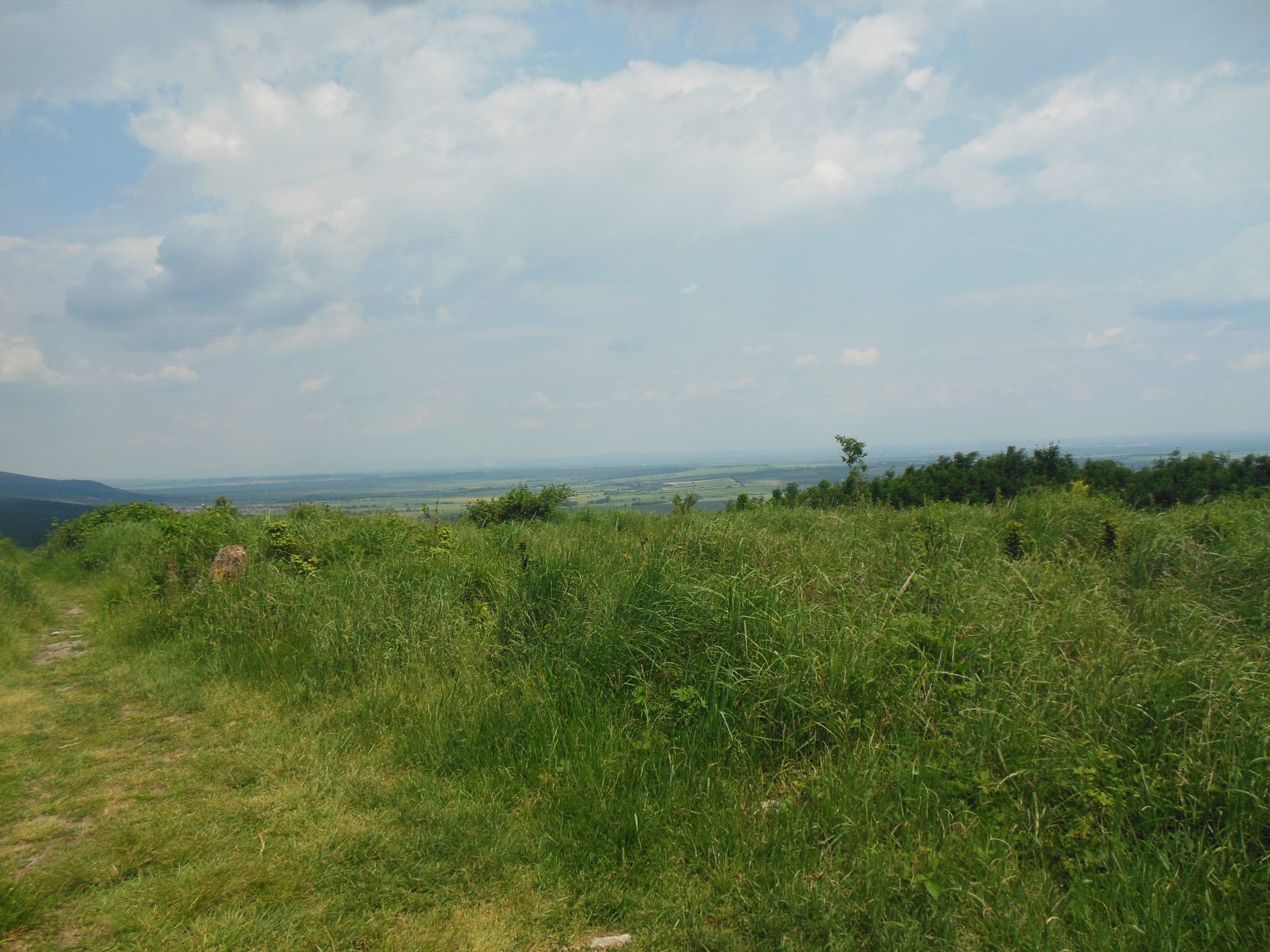 DofE (Zhromaždenie tipov a vychytávok pre budúcich Dofákov)